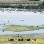 7appt, Terrasse ,vélo , Plages&port à Proximité , Idéalement Bien Situé, Dernier étage La Baule-Escoublac