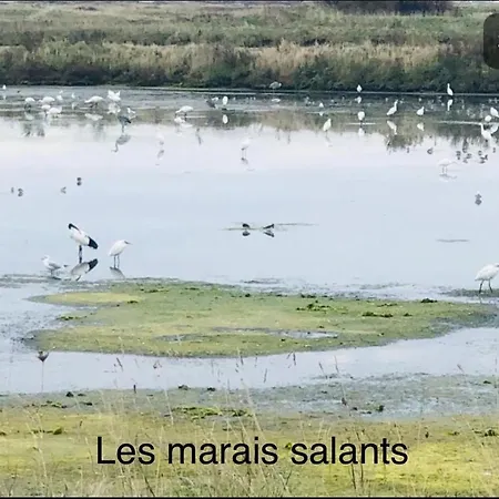 7appt, Terrasse ,vélo , Plages&port à Proximité , Idéalement Bien Situé, Dernier étage La Baule-Escoublac