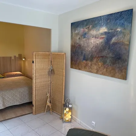 Daire Appartement Cosy A Deux Pas Des Plages Avec Velos De Courtoisie
