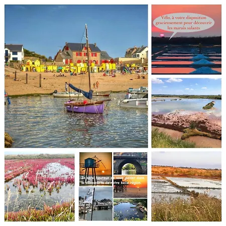 Appartamento Appt, Terrasse ,vélo , Plages&port à Proximité , Idéalement Bien Situé, Dernier étage