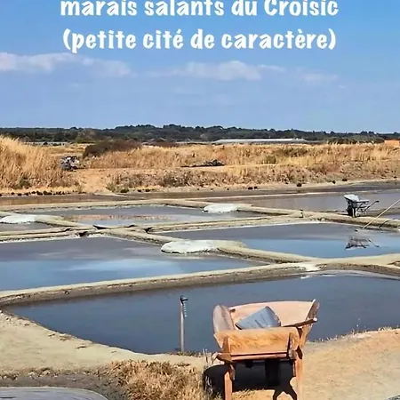 Apartment Cosy A Deux Pas Des Plages Avec Velos De Courtoisie La Baule-Escoublac
