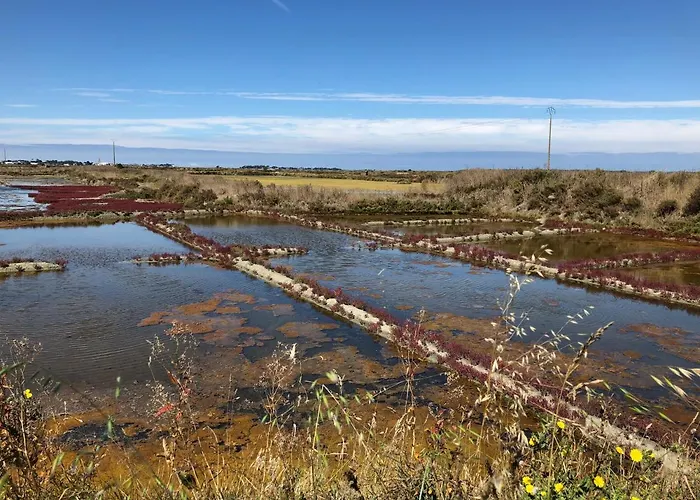 Апартаменты Appt, Terrasse ,velo , Plages & Port A Proximite , Idealement Bien Situe, Dernier Etage *