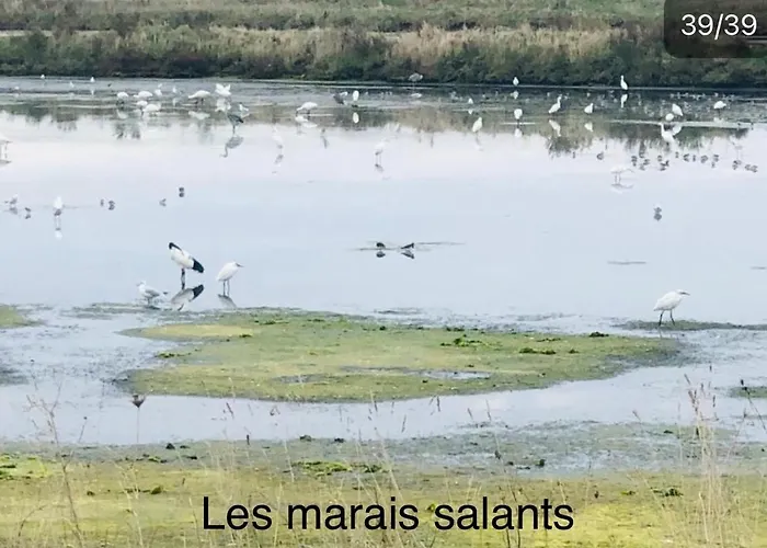 Appt, Terrasse ,velo , Plages & Port A Proximite , Idealement Bien Situe, Dernier Etage Ла-Боль-Эскублак