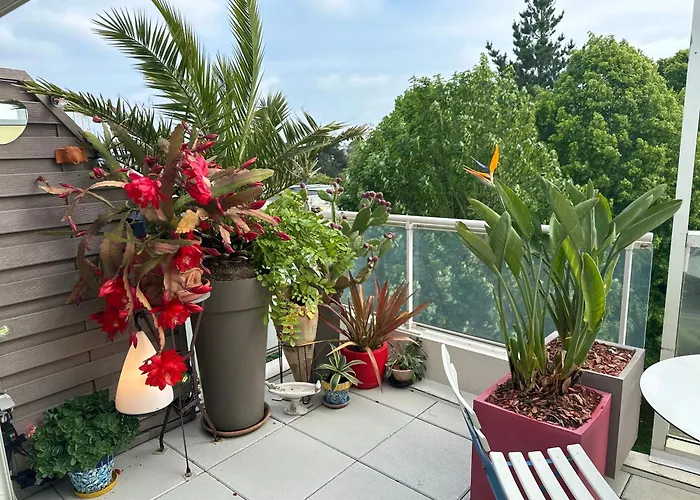 Appt, Terrasse ,velo , Plages & Port A Proximite , Idealement Bien Situe, Dernier Etage