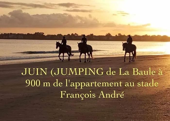 Апартаменты Appt, Terrasse ,velo , Plages & Port A Proximite , Idealement Bien Situe, Dernier Etage